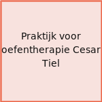Praktijk voor oefentherapie Cesar Tiel